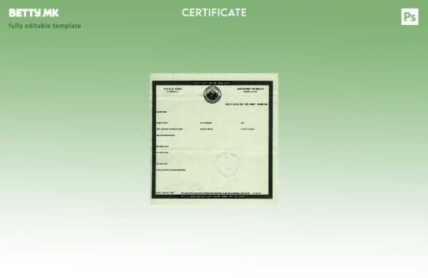 модерен стил Соединетите Американски Држави Министерството за здравство Хаваи се